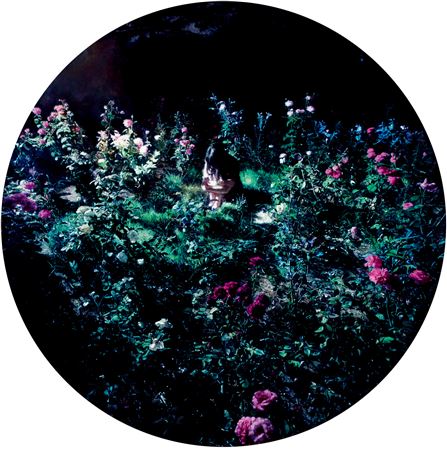 Floating Light Nine