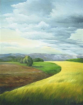 Paysage nuageux et champs de colza