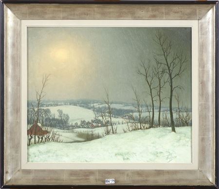 "Snowy country landscape".