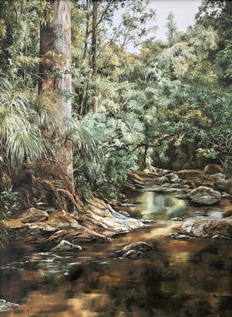 KAURI BESIDE WAIOMA RIVER