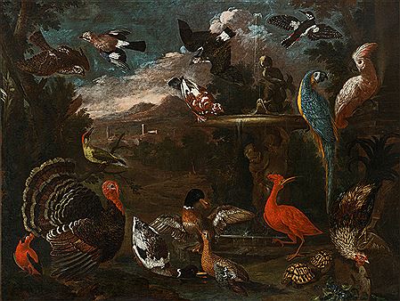 Birds in a landscape with turtles