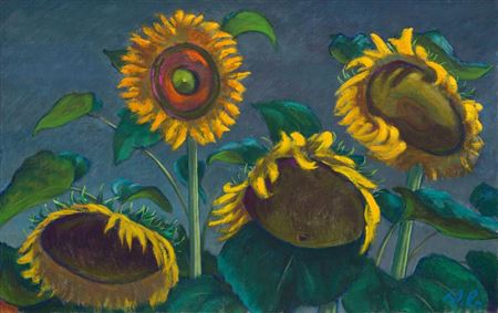 Sonnenblumen