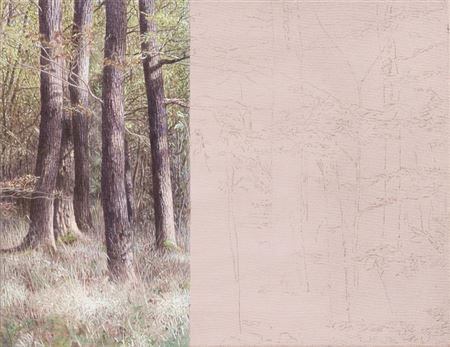 „Wald“