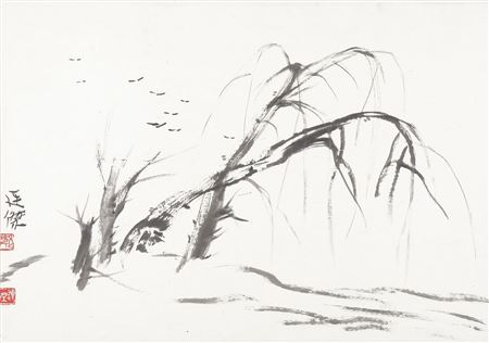 Birds Flying Amongst Trees Near a Bank