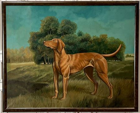 Dog Portrait Of A Vizsla Or Pointer