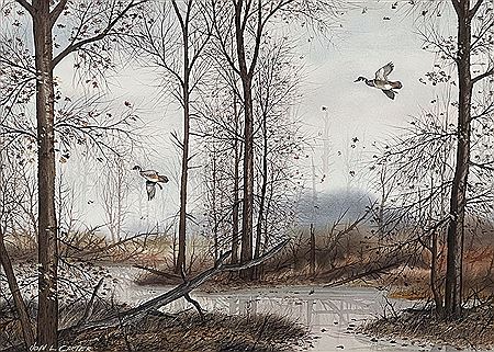 Wood Ducks In Flight, Autumn Woods