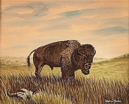 Bison On The Prairie