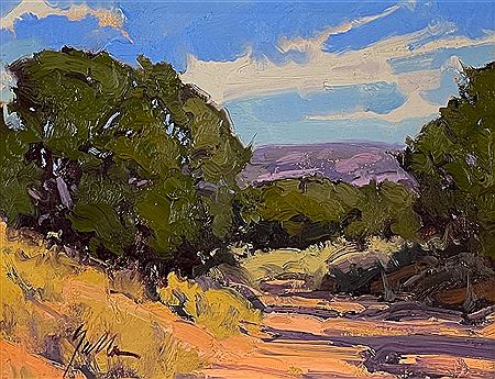 Arroyo Chamiso, 2006