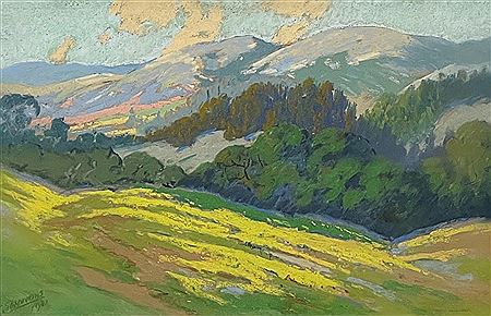 Mountain View Landscape