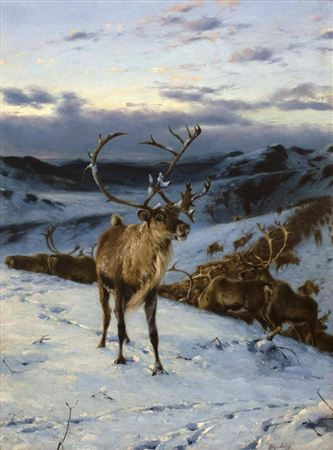 Untitled (Caribou in Winter)