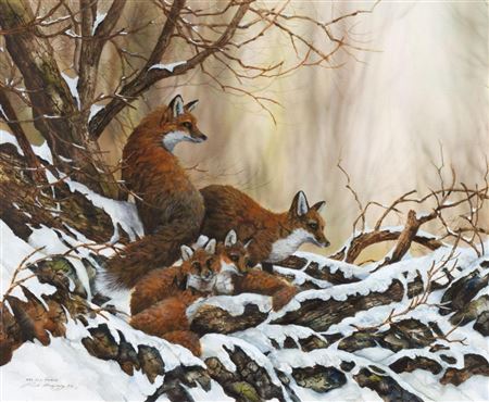 Red Fox Family