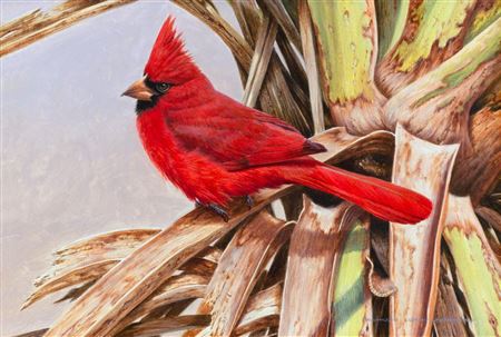 Cardinal