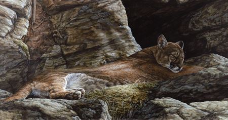 Cat Napping