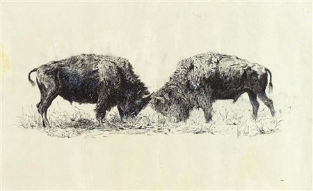 Untitled (Two Bison)