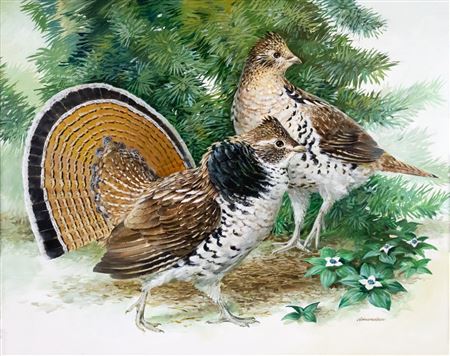 Grouse by Richard Amundsen - Auction record, sale price, and art valuation. Compare with similar artists and explore comparable artworks.