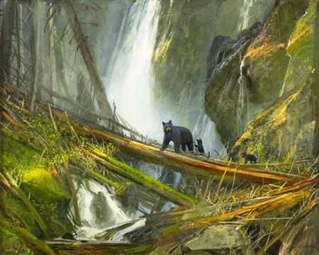 In Secret Places - Black Bears