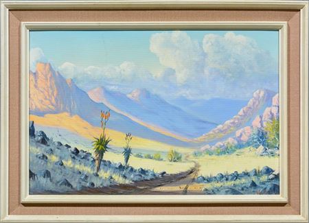 Extensive Landscape with Aloes by Wim Baartman - Auction record, sale price, and art valuation. Compare with similar artists and explore comparable artworks.
