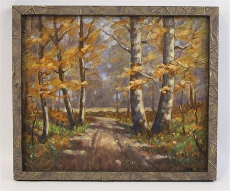 Forest Landscape