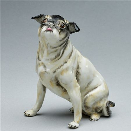 Pug