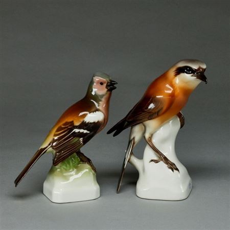 2 birds: finch and shrike (red-backed shrike)
