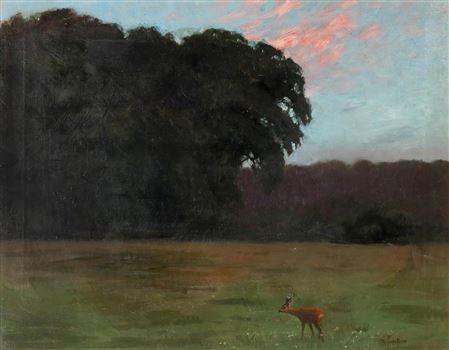 Abendstimmung. Reh auf einer Wiese am Waldrand.