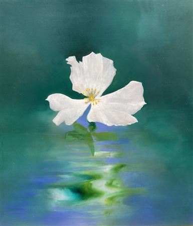 Cherokee Rose 2.23, 2023