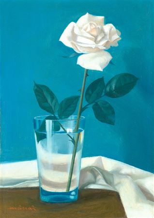 White Rose, 1970s