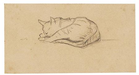 Small cat study