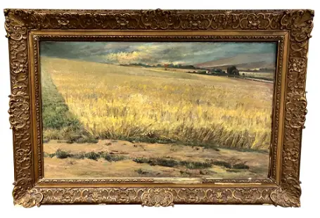 Farm Field