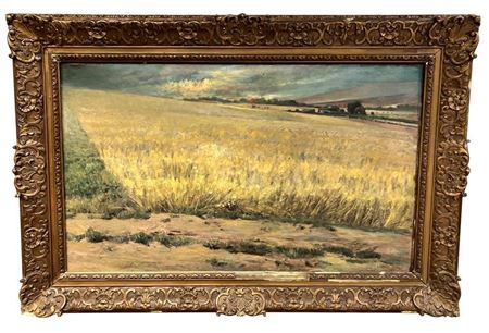 Farm Field