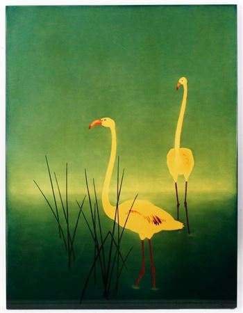 Flamingos
