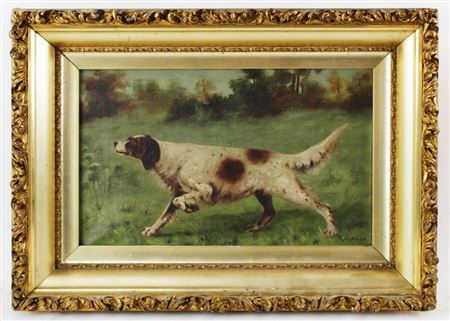 English Setter