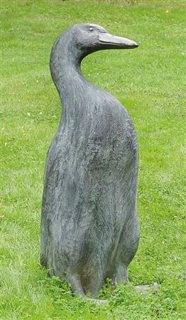 Running duck