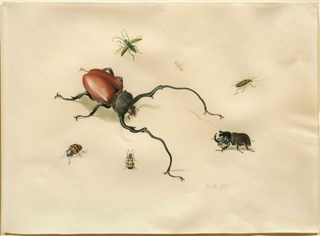 Zeven uitheemse Insecten by Anton Henstenburgh - Auction record, sale price, and art valuation. Compare with similar artists and explore comparable artworks.