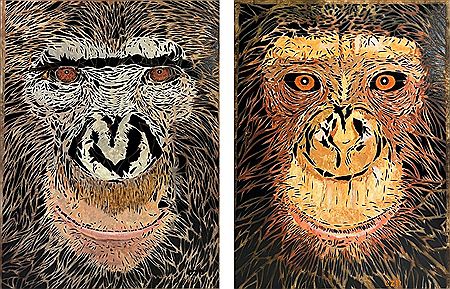 The Bonobos Couple. Diptych:
