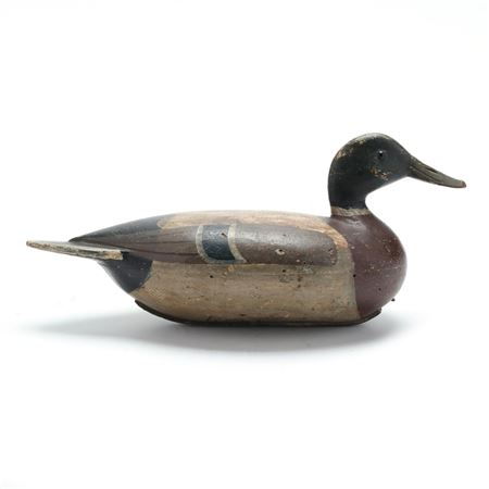 Mallard by William Shaw - Auction record, sale price, and art valuation. Compare with similar artists and explore comparable artworks.