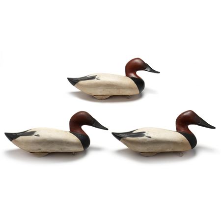 Three Canvasbacks