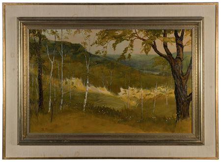 Rolling landscape having distant river
