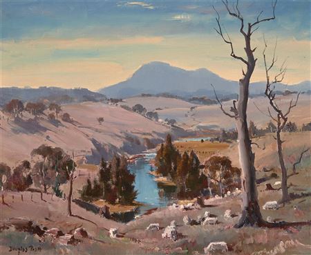 Sheep Grazing, Molongo River, Canberra, 1966