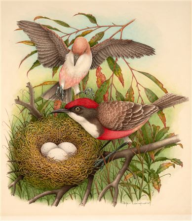 Crimson Chat with Nest