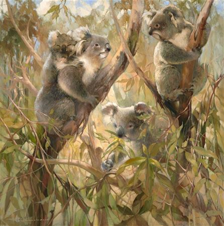 Koalas Gathering for Mating Season by Peter Abraham - Auction record, sale price, and art valuation. Compare with similar artists and explore comparable artworks.