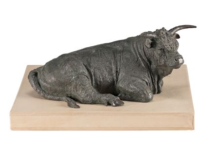 CO Bar Bull and Book