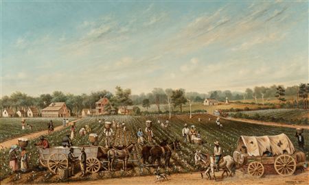 The Cotton Plantation