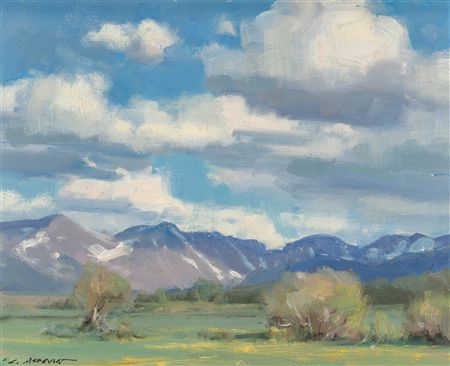Never Summer (Walden, CO)