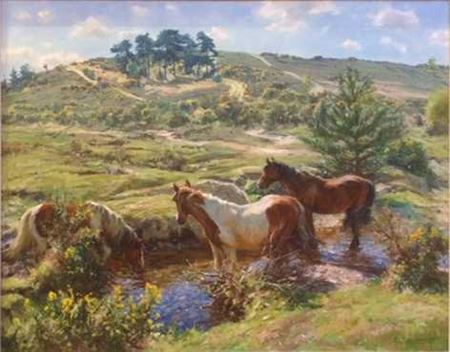 Homy Ridge, ponies by a stream