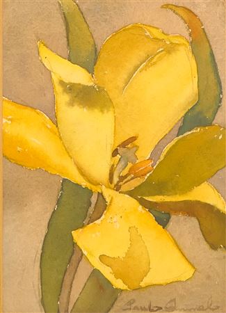 YELLOW TULIP NO.1