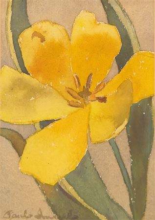 YELLOW TULIP NO.2