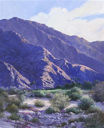 IRONWOOD DEEP CANYON