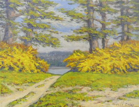 SUMMER LANDSCAPE