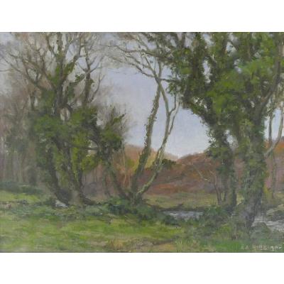 FOREST LANDSCAPE